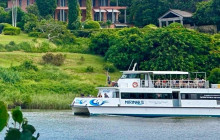 Koala and River Cruises1