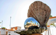 Gray Line Los Cabos4