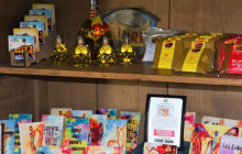 Gray Line Los Cabos6