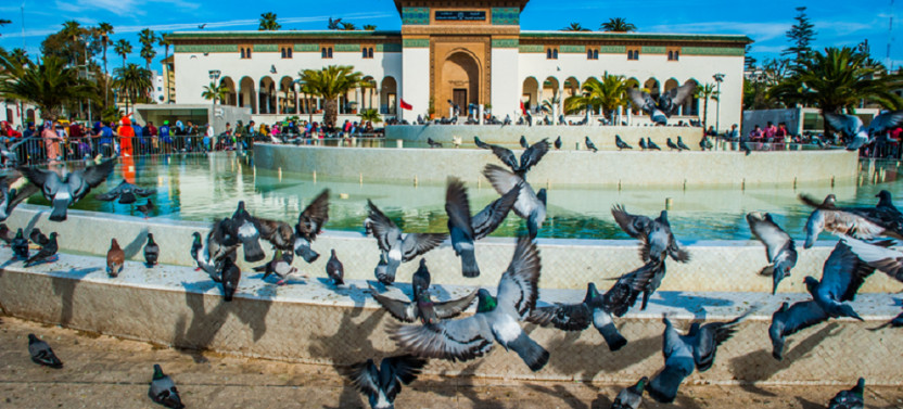 Casablanca: The Medina And Beyond Tour - Join-In & Private Options