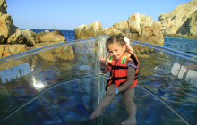 Gray Line Los Cabos7