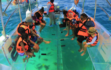 Gray Line Los Cabos1