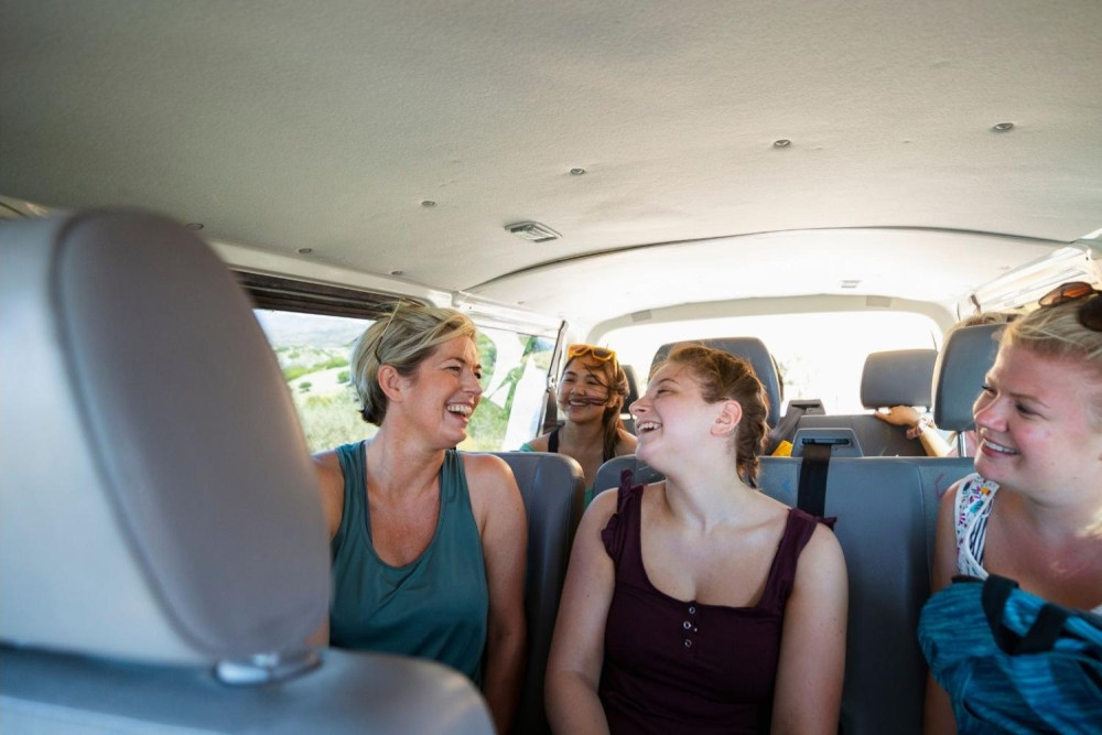 Private Airport One-Way Transfer by Mini Van in Los Cabos