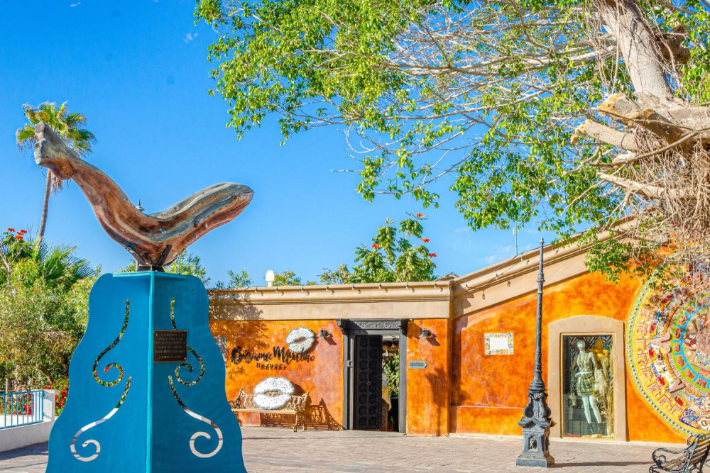 Todos Santos City Tour