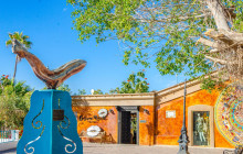 Gray Line Los Cabos1