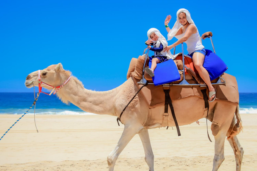 Camel Safari Adventure in Cabo San Lucas