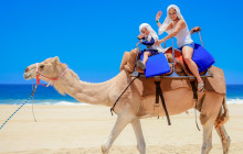 Gray Line Los Cabos1