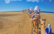 Gray Line Los Cabos2