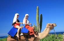 Gray Line Los Cabos4