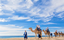 Gray Line Los Cabos5