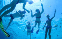 Gray Line Los Cabos5