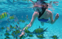 Gray Line Los Cabos6