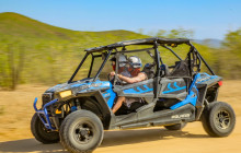 Gray Line Los Cabos1