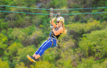 Gray Line Los Cabos5