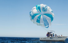 Gray Line Los Cabos2