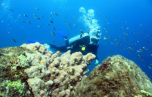 Gray Line Los Cabos1