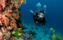 Gray Line Los Cabos2