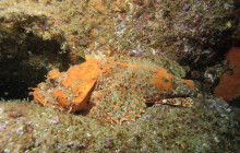 Gray Line Los Cabos3