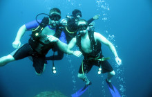 Gray Line Los Cabos4