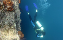 Gray Line Los Cabos6