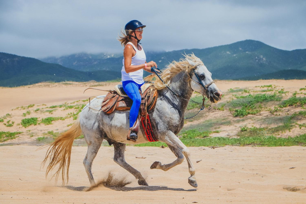 Los Cabos Horseback Ride Tour