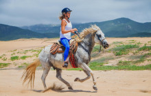 Gray Line Los Cabos1