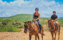 Gray Line Los Cabos2