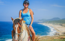 Gray Line Los Cabos3