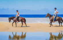 Gray Line Los Cabos4