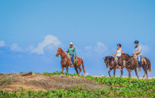 Gray Line Los Cabos5