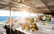 Gray Line Los Cabos2