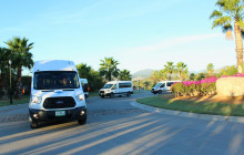 Gray Line Los Cabos4