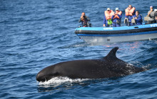 Futurismo Azores Adventures4