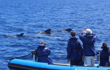 Futurismo Azores Adventures6