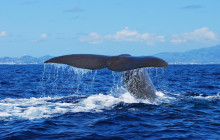 Futurismo Azores Adventures2