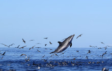 Futurismo Azores Adventures1