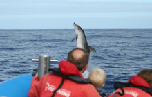 Futurismo Azores Adventures3