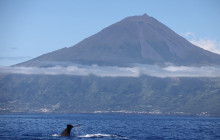 Futurismo Azores Adventures5