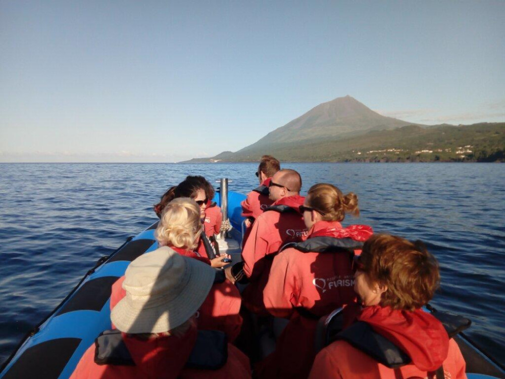 Futurismo Azores Adventures