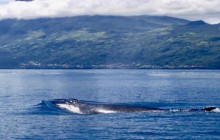 Futurismo Azores Adventures8