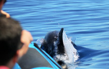 Futurismo Azores Adventures12