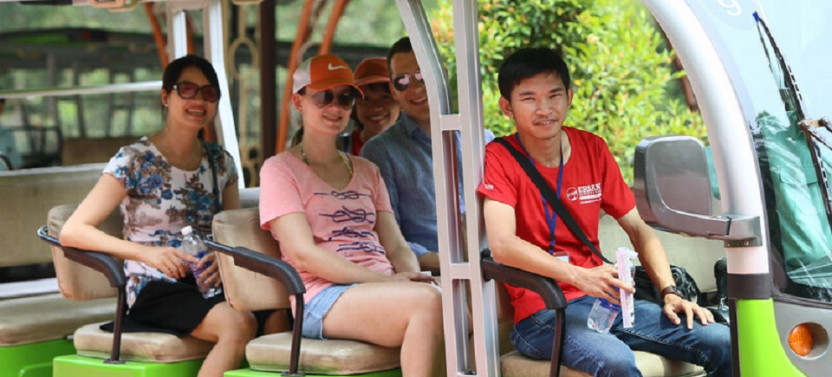 Private Hoi An: My Son Discovery