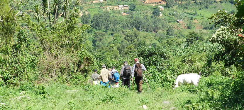 4-Day Uganda Gorilla Trekking Short Break from Kampala