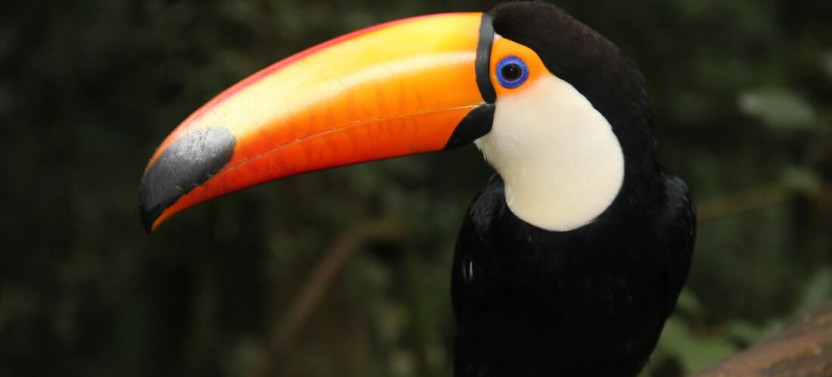 3-Day Iguazu Falls Small Group Short Break Tour