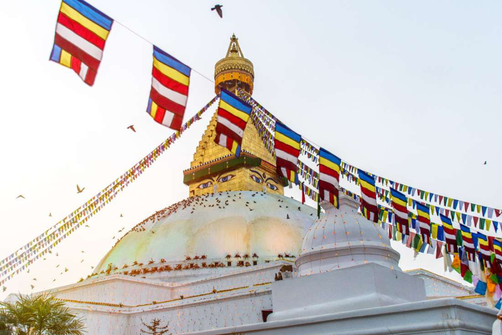 4-Day Chitwan National Park Wildlife & River Safari from Kathmandu