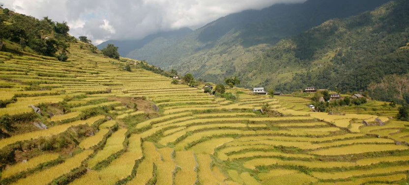 4-Day Nepal Hills & Himalaya Trek with Teahouses from Kathmandu