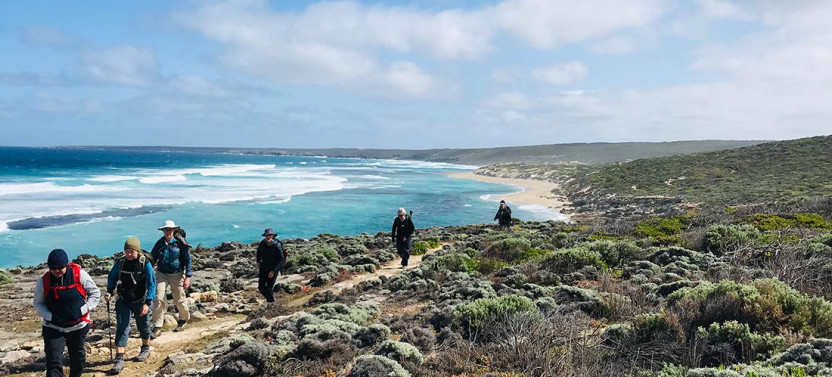 2 Day Kangaroo Island Bushwalking and Wildlife Experience from Adelaide