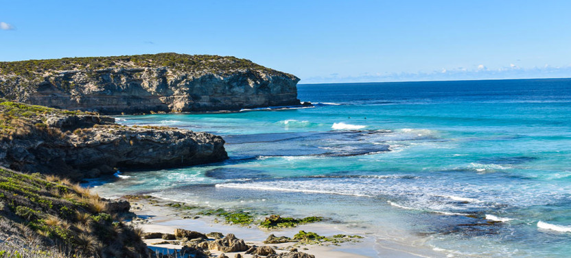 2 Day Kangaroo Island Bushwalking and Wildlife Experience from Adelaide
