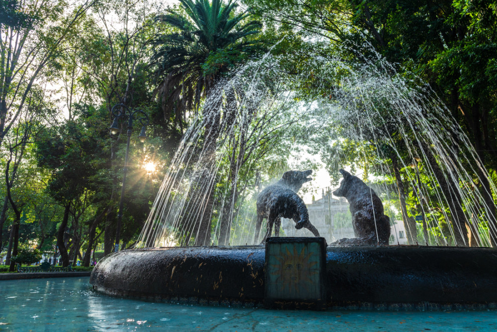 Independent 3-Day Mexico City Getaway with Teotihuacan and Local Home Meal