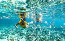 Next Experience Travel8